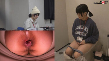 業務時間内のトイレ休憩中に声をガマンしながらもこっそり絶頂していたSOD女子社員7名隠し撮り｜1shyn00209