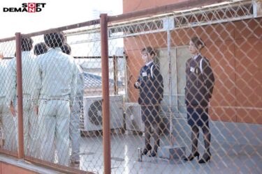 少年看守レディのお仕事 中出し射精管理更生施設 橘京花 七碧のあ 秋元さちか｜107SDDE-727