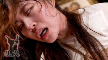 腹パンチ破壊 全編腹パンチ｜doa00062