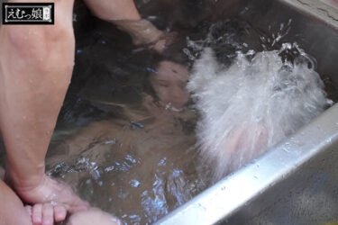 迷い込んだ未成熟。最狂服従イラマチオ マホ｜mism00331