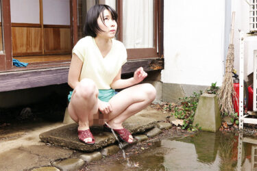 お漏らし母に欲情する息子 無防備な放尿姿に勃起！濡れた股間の誘惑 10名収録 240分｜h_1515zooo00189