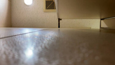 マンモス企業勤務/フェラの怪物｜gobuc034