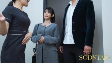 しこまれブライダルエステ 特別媚●フルコースで感度超増強した美人婚約者は理性が崩壊し失禁絶頂を繰り返した 宮島めい｜1start00367