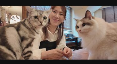 猫カフェデートの後はホテルで思いっきり交尾｜490FAN-327