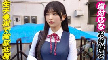 お嬢様校に通う黒髪清楚な制服美少女N.Kちゃんを理解らせ｜DDH-340
