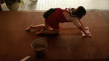 旅館の手伝いをする可憐な乙女が、ちょっとした好奇心から踏み込んだ古びた蔵で…。純情娘がマゾ快楽に染まる変態SEX！｜741A146-G05