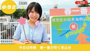 お天気お姉さん 中継レポート狩り 2 汚された朝の顔 地方局美人キャスター4名｜775HRSM-143